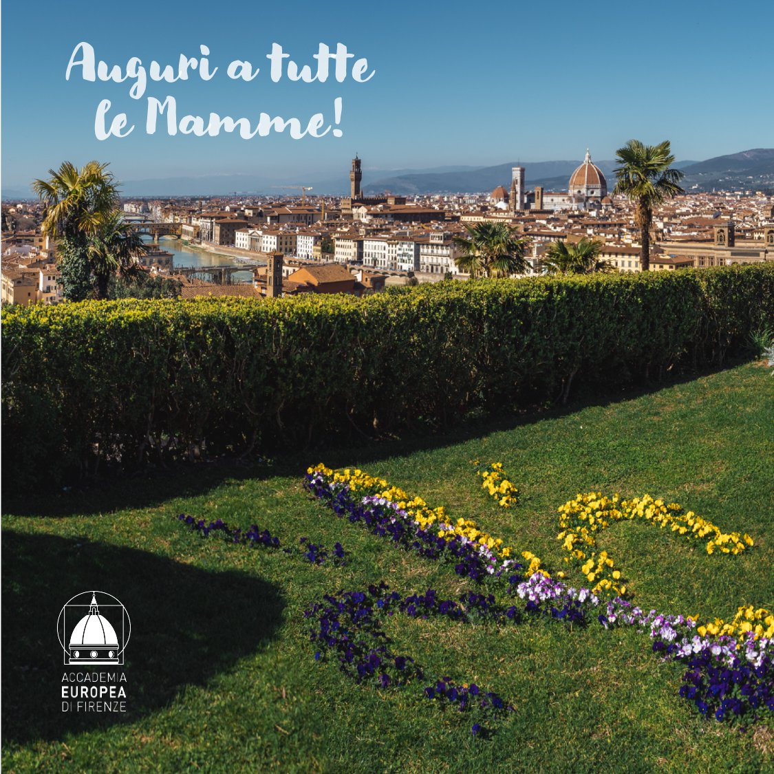 AEFIRENZE tweet media