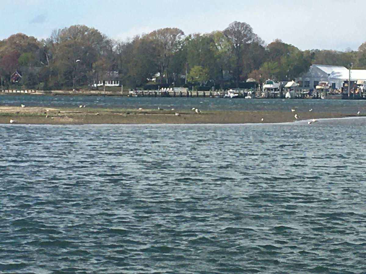 katwife's tweet image. Super low tide, #sandbars, #supermoon #tides #ThePhotoHour #Peconicbay #longisland #SundayMorning