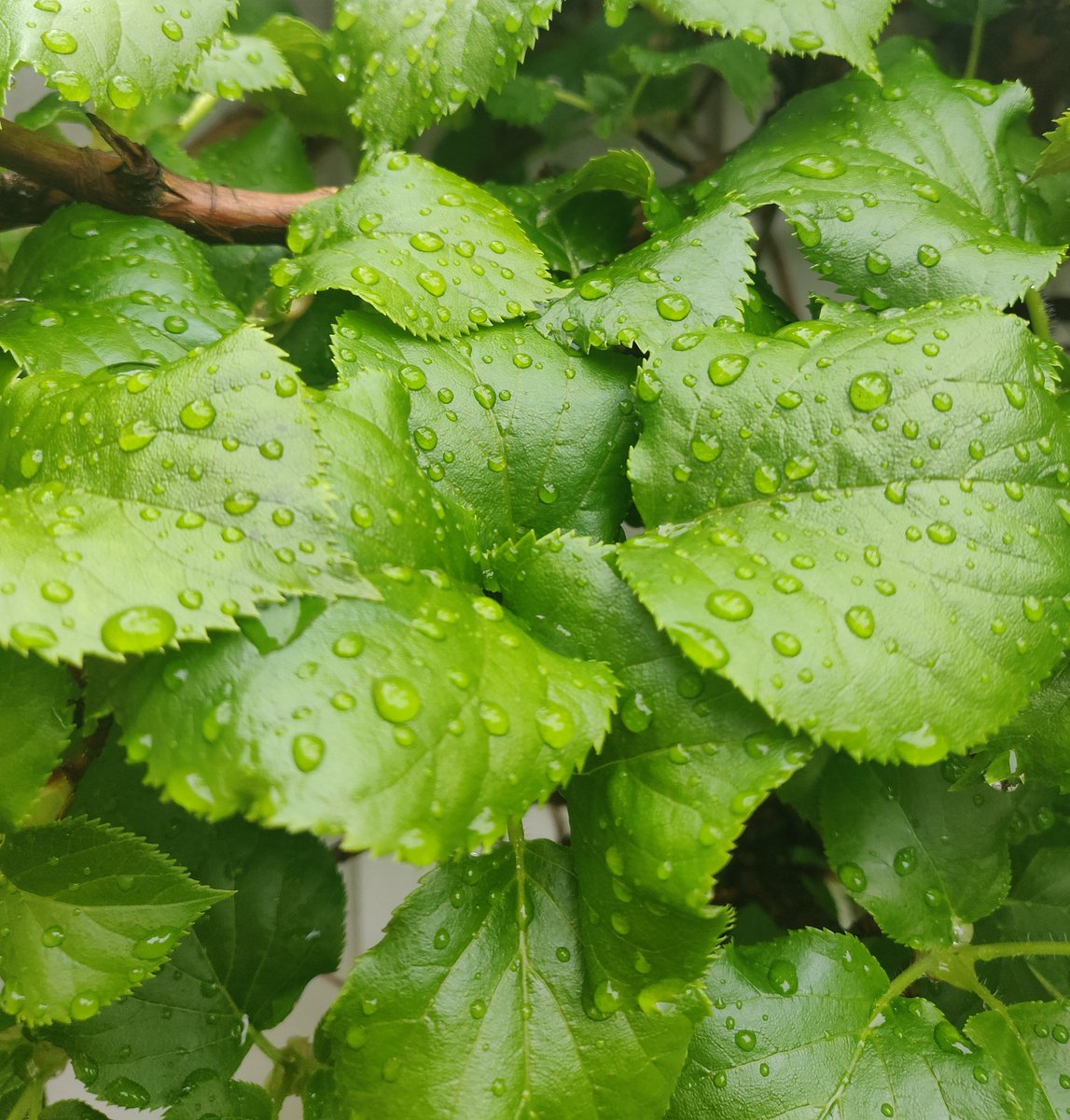 NvzoTweets's tweet photo. Remember to stop up, and appreciate nature sometimes https://t.co/DTp2hNMKcm