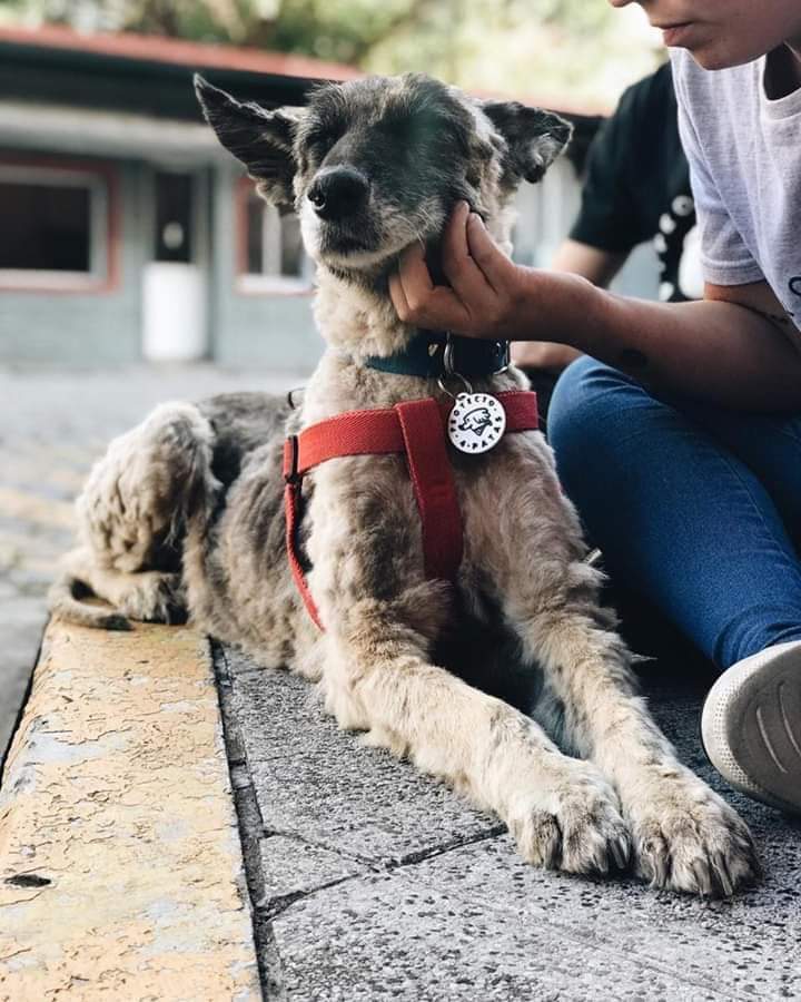 SamZepetoo's tweet photo. Até que Ponto vai a maldade humana? 😭😭 https://t.co/QSAd5rD9xO