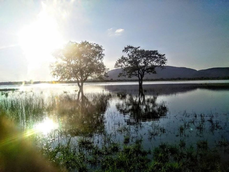 moshe_molemogi's tweet photo. how i miss home
#LERALA #Lenonong #Lekadibeng #TswapongHills https://t.co/wJNCnaC1Q9