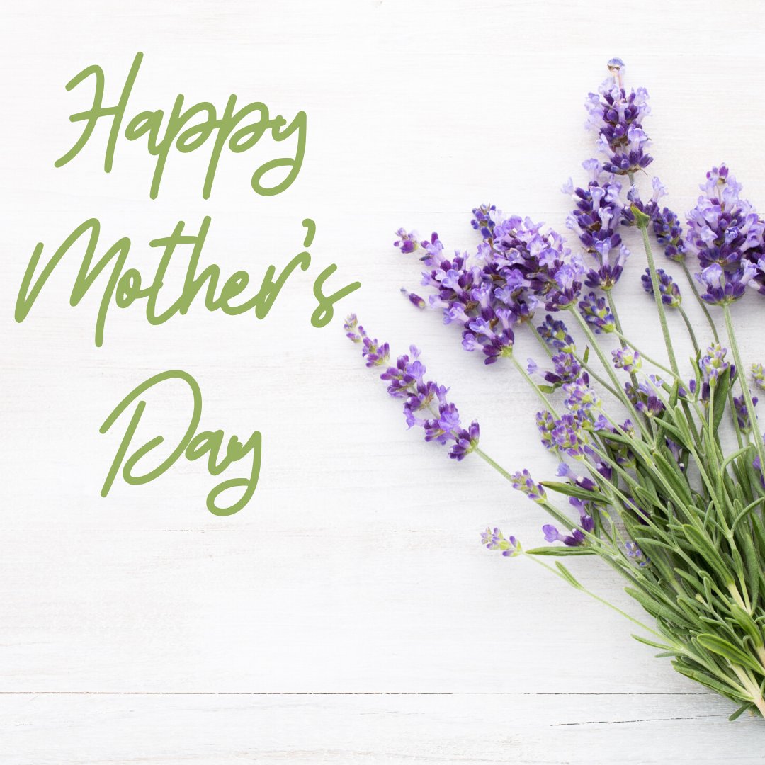 GPC_Fun's tweet image. 