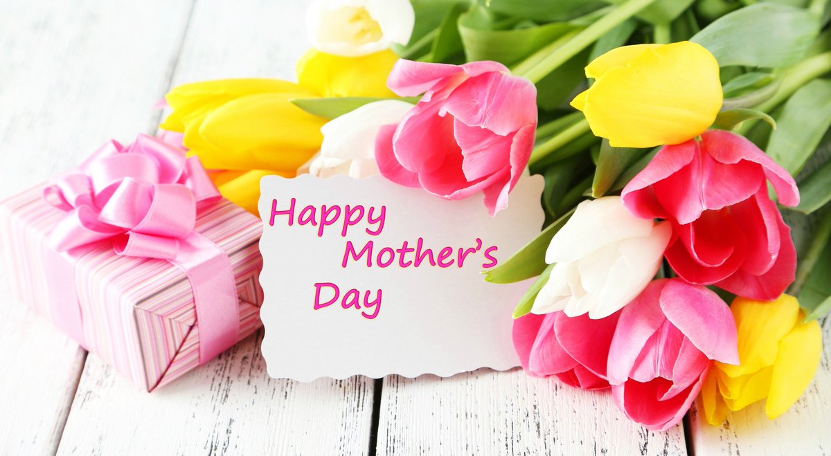 Happy Mother's Day to the 2 legged, 4 legged, plus everything between Moms and guys who are playing both Mother and Father. 

I hope your day is filled with love, excitement, and Happiness.