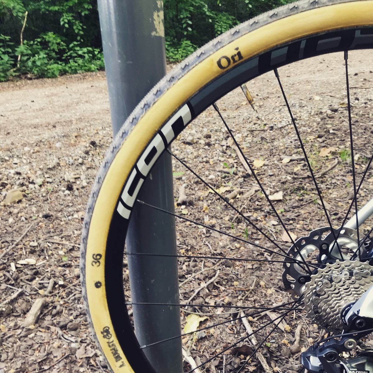 daansoete's tweet photo. How do you like these #Dugast 36mm gravel tubulars? I think they are a 🔥upgrade for the @scottbenelux addict rc cx bike. #gravelbike https://t.co/tubMfDZx81