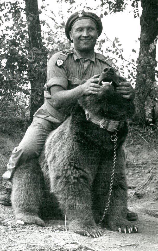 1/ I’d like to tell you an  #WW2 story close to my family’s heart. That of an incredible bear that was adopted by Polish soldiers in the Middle East and accompanied them during the war through Italy. His name was Wojtek.THREAD https://twitter.com/JanekLasocki/status/1220435882173440000