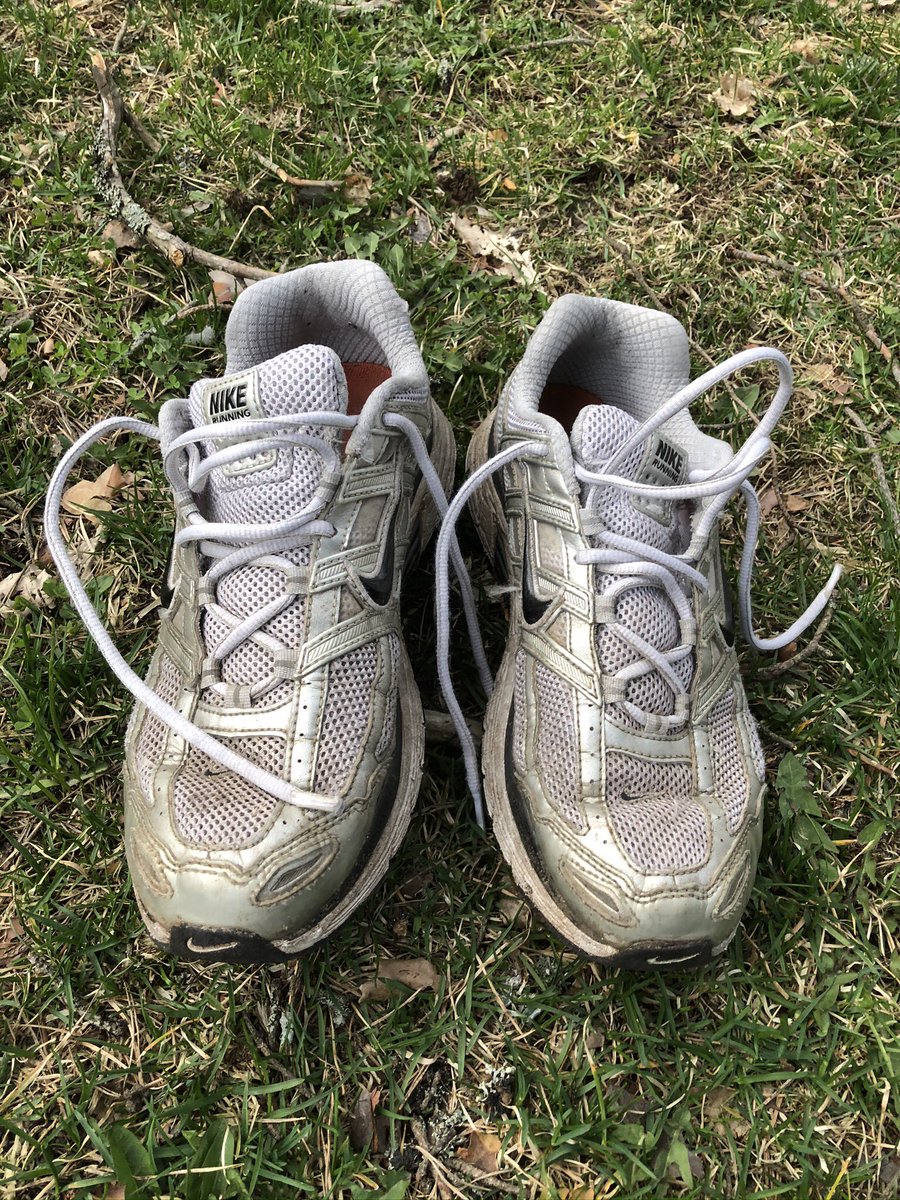 HarriLuuppala's tweet image. Today after jogging in the local forest I left my shoes outside for dying. i found just that someone had ”stolen” them! Soon I found them in backyard, and also the thief was nearby. She is 7y old bitch that enjoyed the Mother´s Day , I presume. Anyhow #PerfectLayout