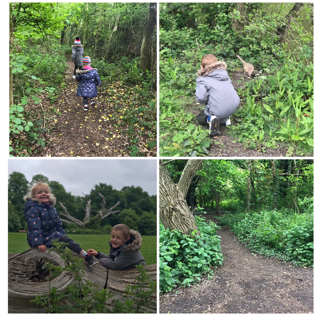 KateWard03's tweet photo. @LyndonGInfant After VE Day celebrations yesterday, we decided to take a trip to Elmdon Park for a bit of forest school! #weekendsareforlearningtoo #forestschool #bearhunt2020 #feedingducks #nowhitebread https://t.co/huOCl9YUhR