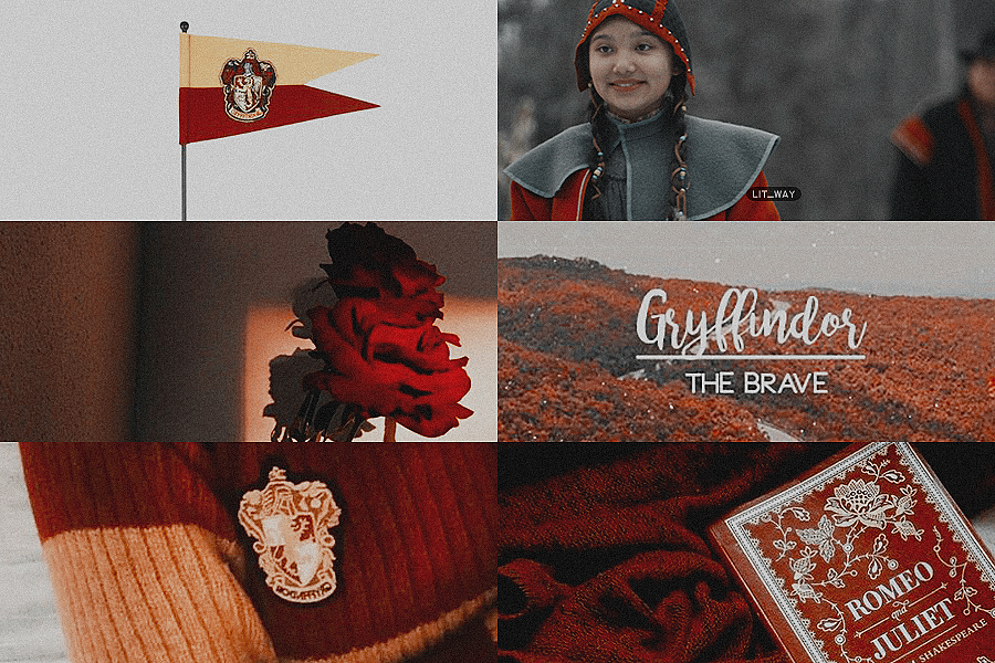 ka'kwet × gryffindoryou might belong in Gryffindor, where dwell the brave at heart, their daring, nerve, and chivalry set Gryffindors apart #renewannewithane