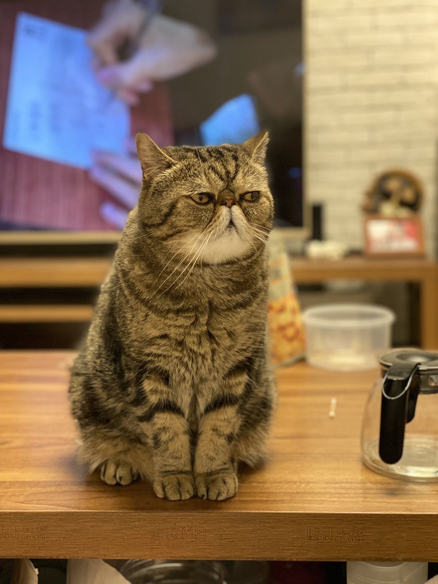 13mm's tweet photo. I should practice more for the time being. https://t.co/XQhQ07FdyU