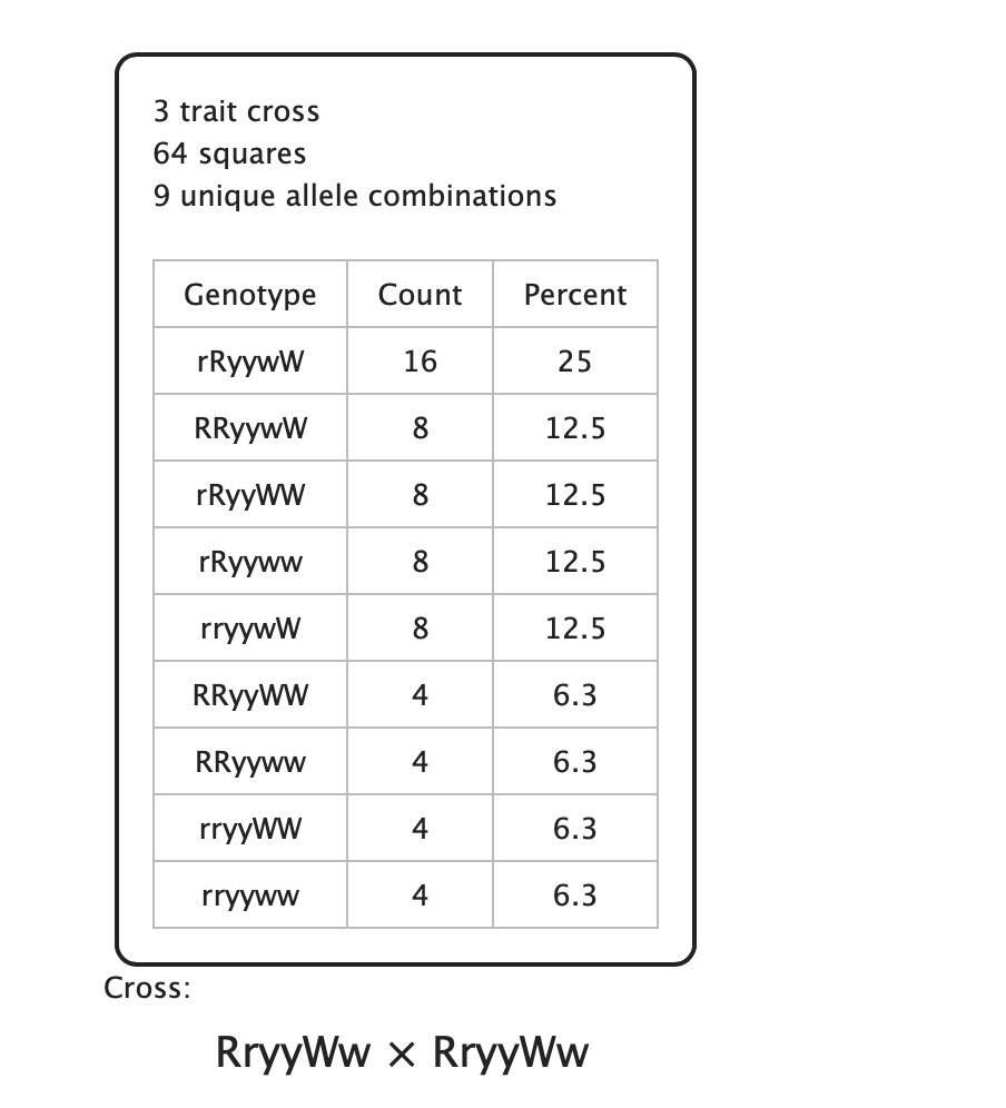 It turns out two hybrid reds with Rr-yy-Ww can create all sorts of combinations of alleles. Many of these will just be more reds with all sorts of combinations of alleles that will make them difficult to use in breeding. Here's the breakdown. Look for RR-yy-ww to find our purple