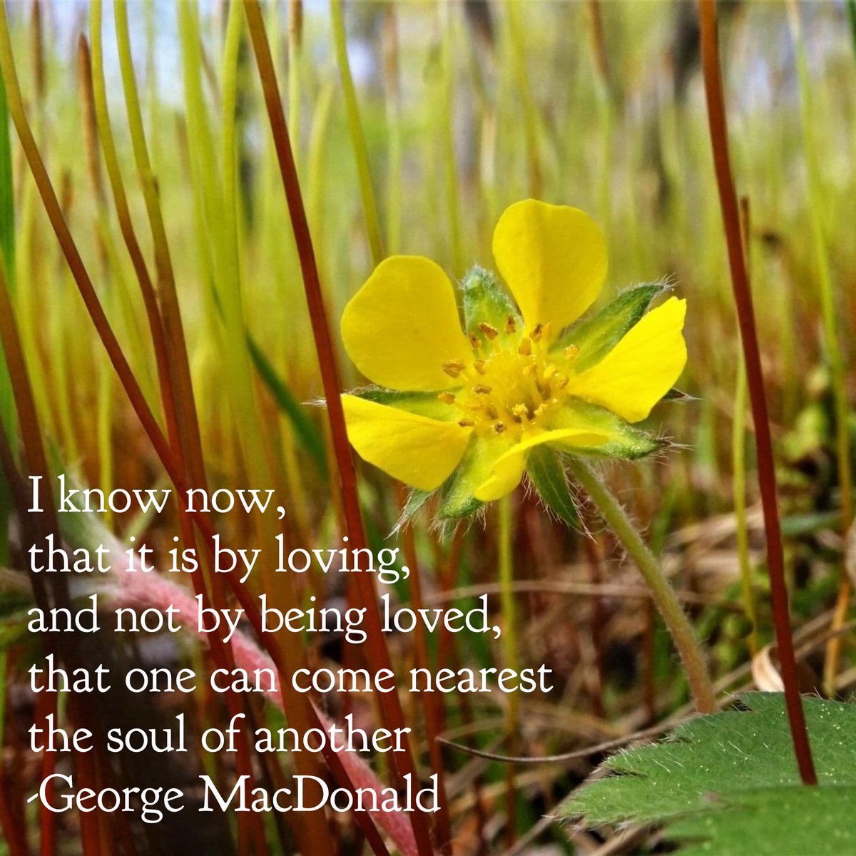 #mother love #mothers #reallove #lovetrue #unselfish