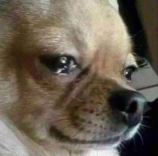 what i feel rna thread;