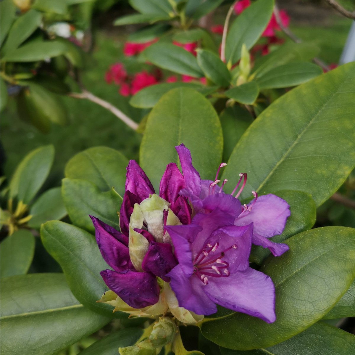 To all moms in the world happy #MothersDay Millions of stories, especially this year, tell what it's to be a caring mom. Intense duty caring for kids &amp; relatives, juggling jobs, homeschooling, navigating financial challenges and acting as family doctor. We are all super heroes.