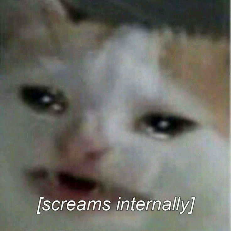 what i feel rna thread;