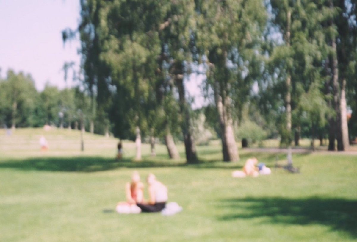 orydsoli's tweet photo. quiet sweet , blurry snap / stadsträdgården https://t.co/LxX1uZfaCq