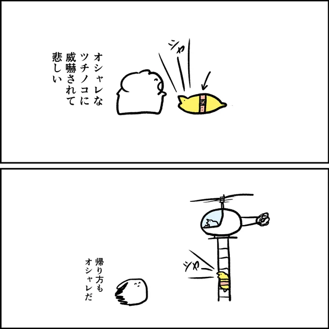 オシャレなツチノコ 