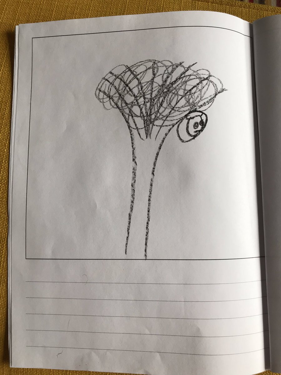 She said it’s designed so I can add my own words, but the caption on the 4th image here should be, “And then the acorn began to love his new life.”