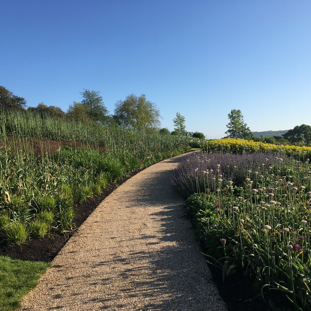 AmericanMuseum's tweet photo. View North
@gardendayuk @OehmevanSweden
#windingway #newamericangarden #allium #bluesky #welovegardening https://t.co/uKi4yN7xa4