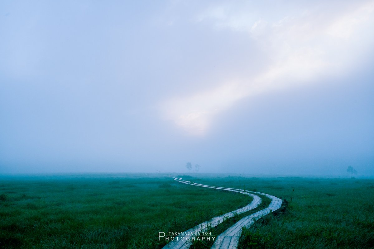 ট ইট র 齊藤 貴聖 ジープ島写真家 目に優しそうな緑の画像を用意しました こちらはpcの壁紙に使ってもらって構いません その場合は よかったらrtとフォローお願いします 緑で繋がるみんなの輪