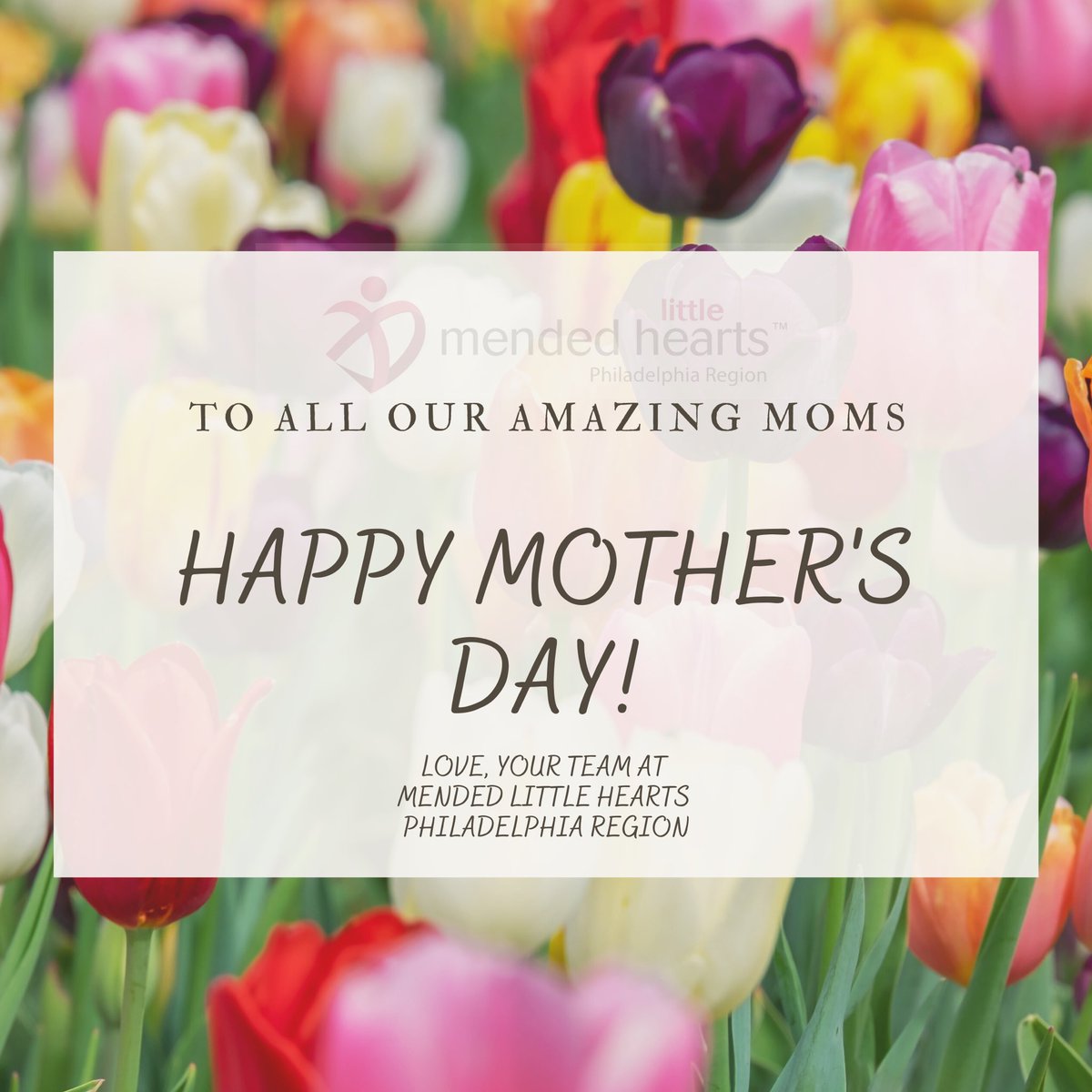 MLHPhilly's tweet photo. Wishing a beautiful Mother’s Day to all of our amazing mommas!!! https://t.co/pjSfyyxPRg