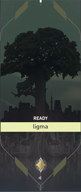 lets go, finally got immortal