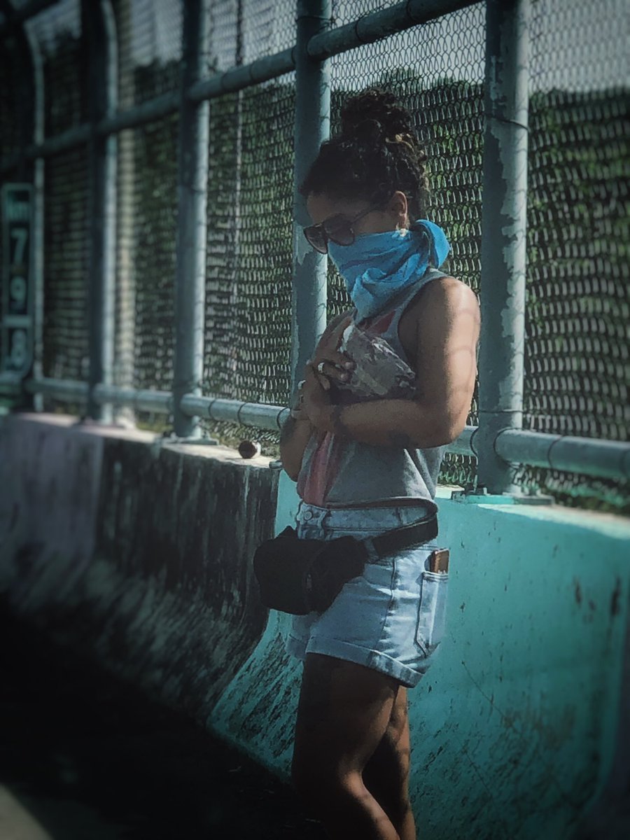 mark_wieder's tweet photo. Took a picture of Sophie getting a fresh hibiscus pickup on an overpass. 😆 🌺
#gangsta #badass #prvive #flower https://t.co/dlhc3jkXbS