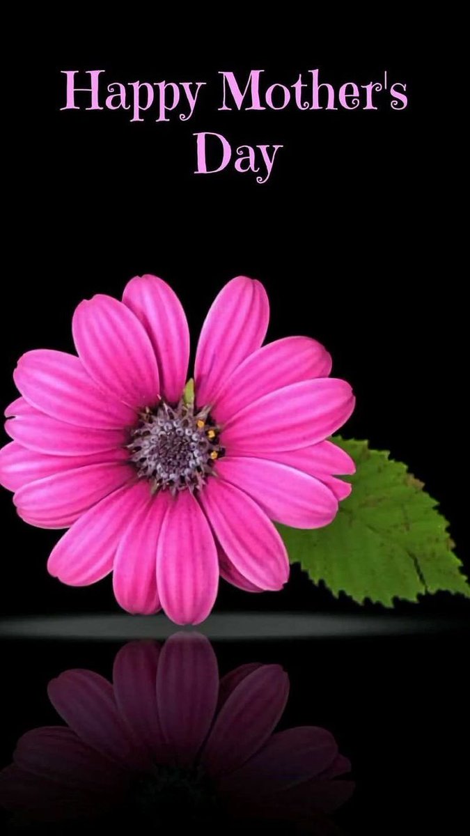 TechnogelA's tweet photo. 💐We wish a very Happy Mother’s Day to all of the Mom’s!💐
#TechnogelUSA #HappyMothersDay https://t.co/4YiVDWzG8q