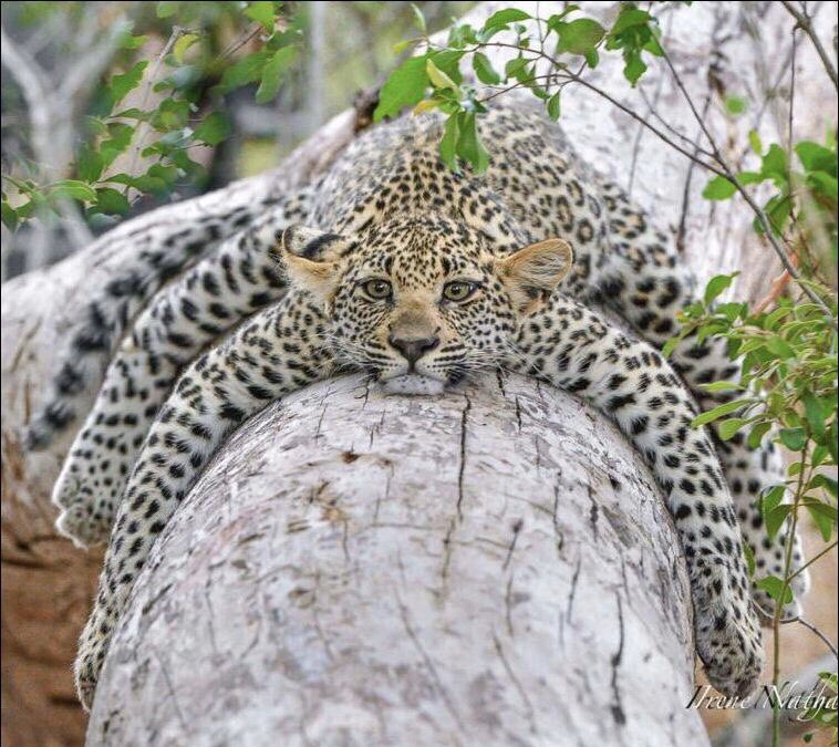 Upplicon (@upplicon) on Twitter photo 