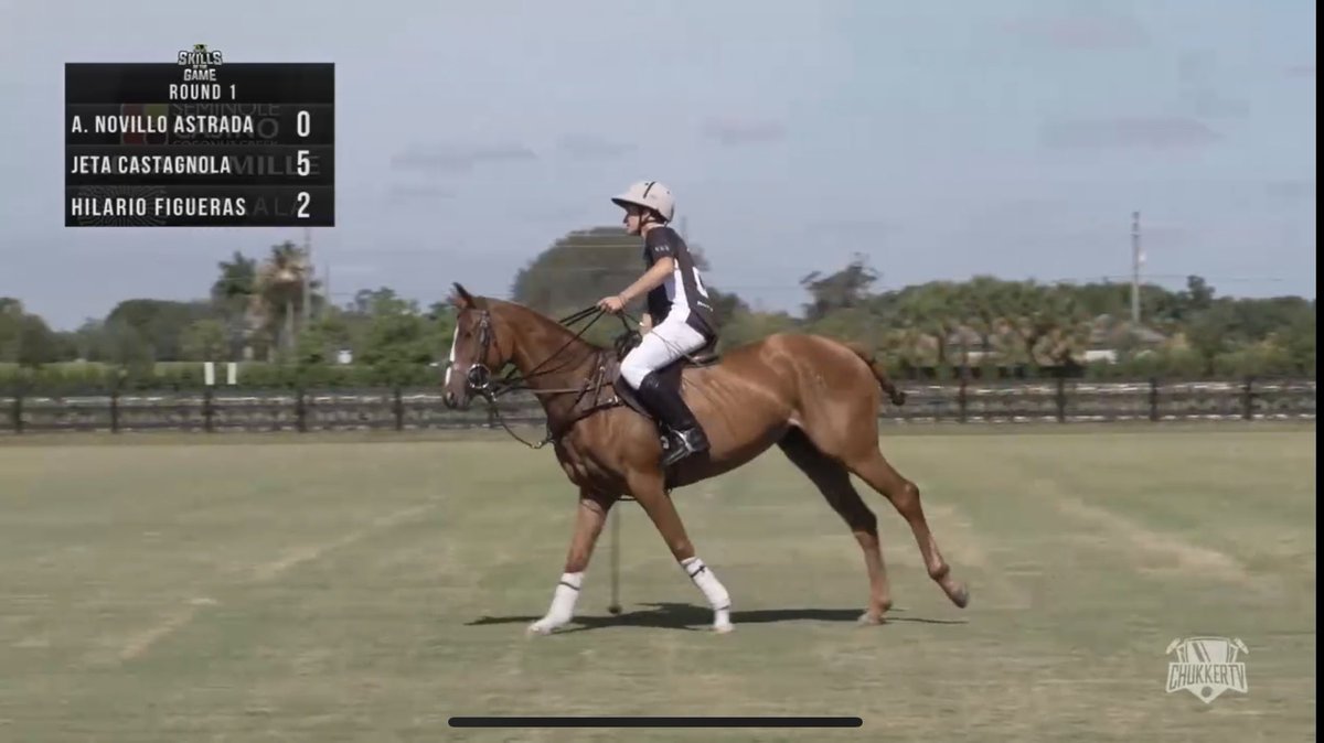 melissaganzi's tweet photo. I’m watching #skillsofthegame ⁦@ChukkerTV⁩ #livepolo 🐎🤍💚🤍💚🤍💚🤍🐎 https://t.co/oQxxV80A49
