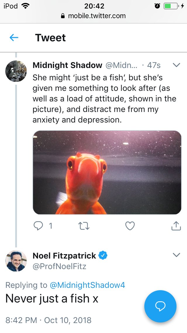 Remembering when <a href="/ProfNoelFitz/">Noel Fitzpatrick</a> replied to a photo comment of mine, and how happy it made me. Sadly I lost my fish suddenly last week. Came home from work and she was so ill. Tried my hardest to save her, but she died the next day 😭. Seeing this reply helps cheer me up.