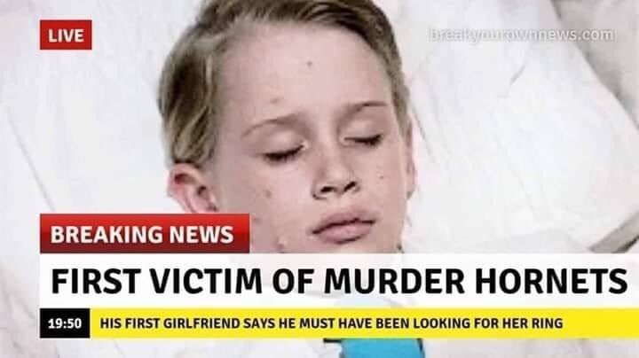 backwoods18235's tweet photo. #MurderHornets sad but true rest easy son https://t.co/hXbAGXJxsD