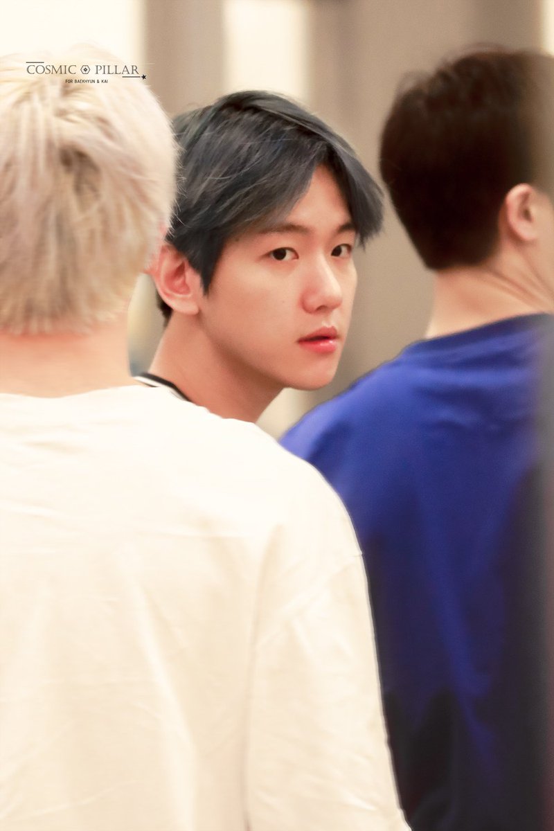 찬백 취향계 tweet media