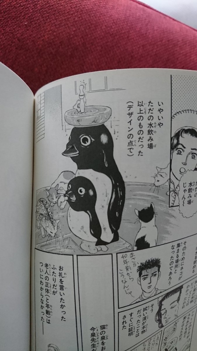 長女 今更ながら アイコンと動物のお医者さんの猫の泉が同じということに気づいた ちなみにかみね動物園です 長女 今更ながら アイコンと動物のお医者さんの猫の泉が同じということに気づいた ちなみにかみね動物園です