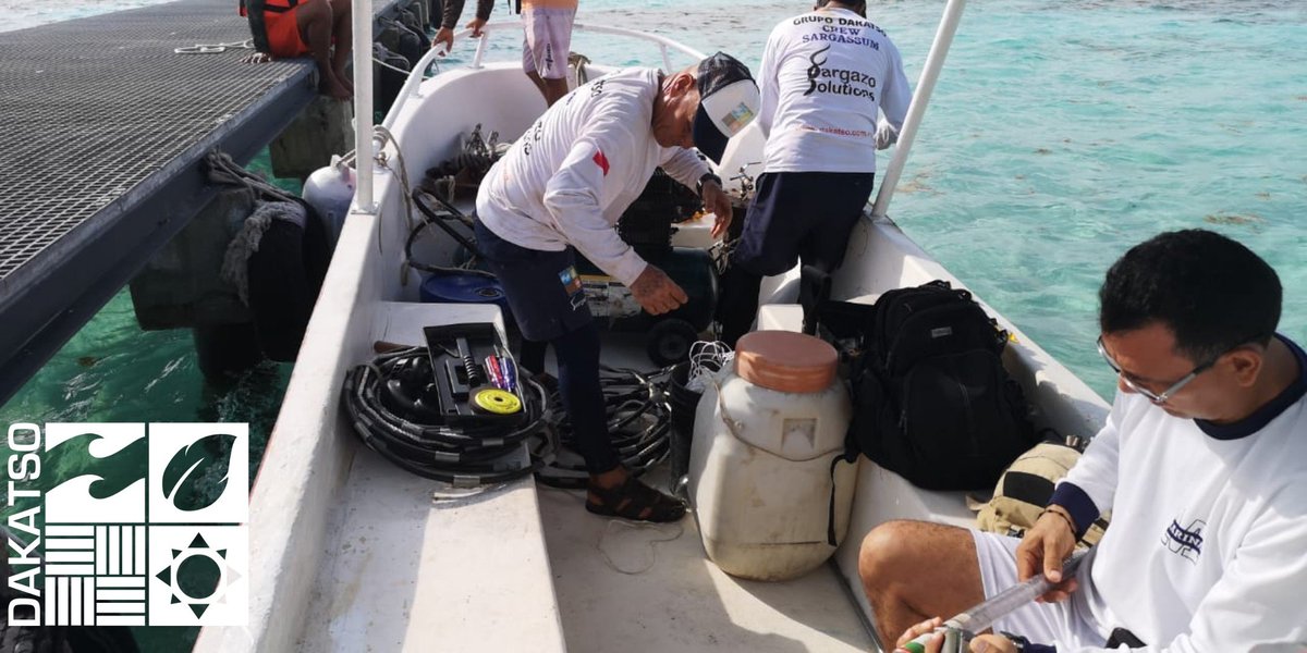 DakatsoGrupo's tweet photo. En Grupo Dakatso contamos con asesorías   técnicas para la implantación de tecnologías  innovadoras para contrarrestar el arribo de la macro-alga así como estudios Marinos en general! #sargazo #sargassum #grupodakatso #trabajandoparati #compromiso #SargazoSolutions https://t.co/6xTIlI7ZXa