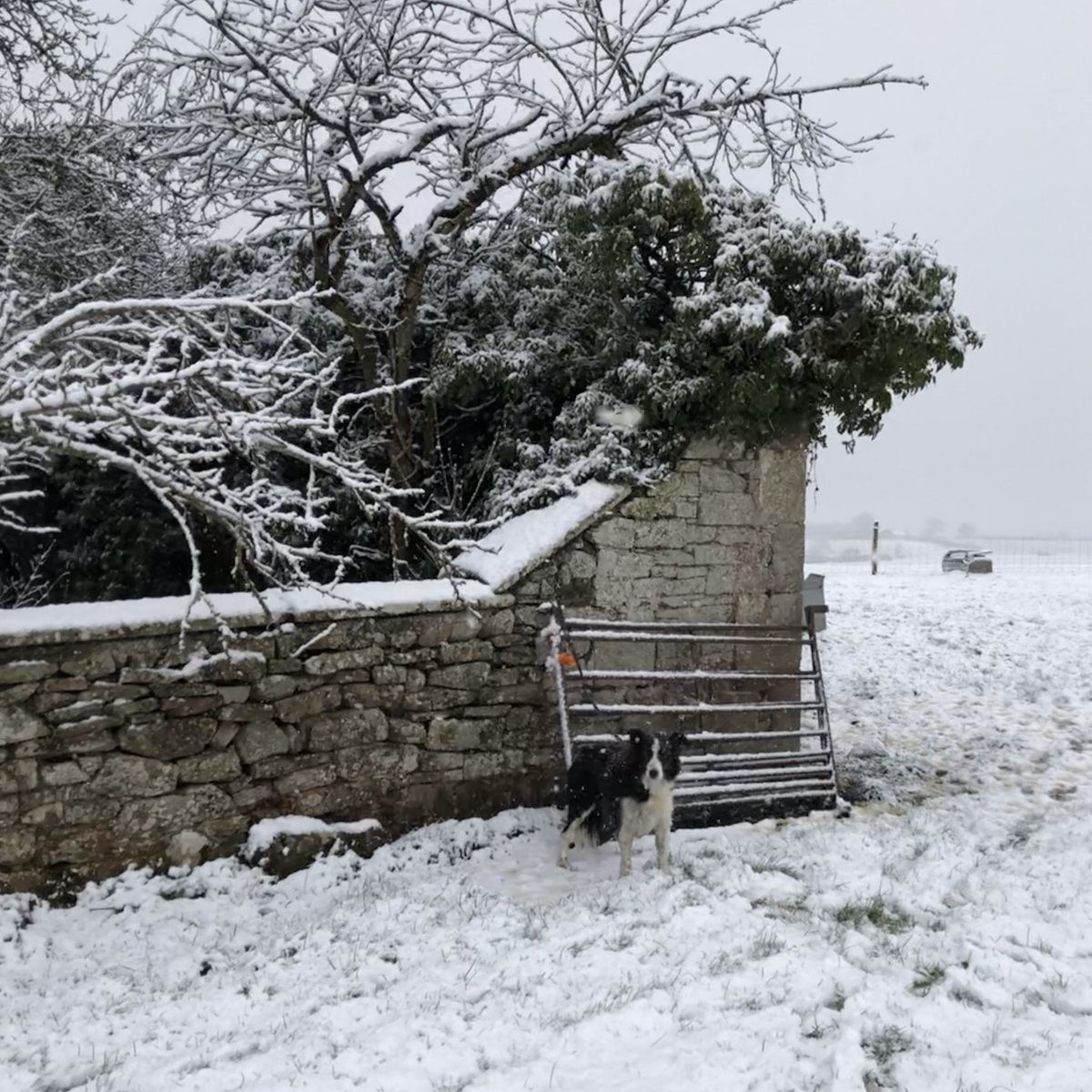farmandfields's tweet photo. were unable to move the idea forward, simply because they didn’t know how to go about promoting it. When I explained my marketing background I was asked for help – and so @farmandfields was born #marketingagency #supportingfarmers #supportingsmallholders #ruralmarketing https://t.co/1TxcwLxYvo