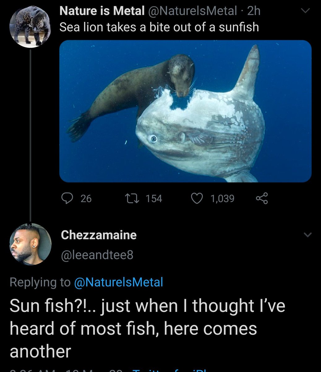 fusilliGaryBettman tweet media