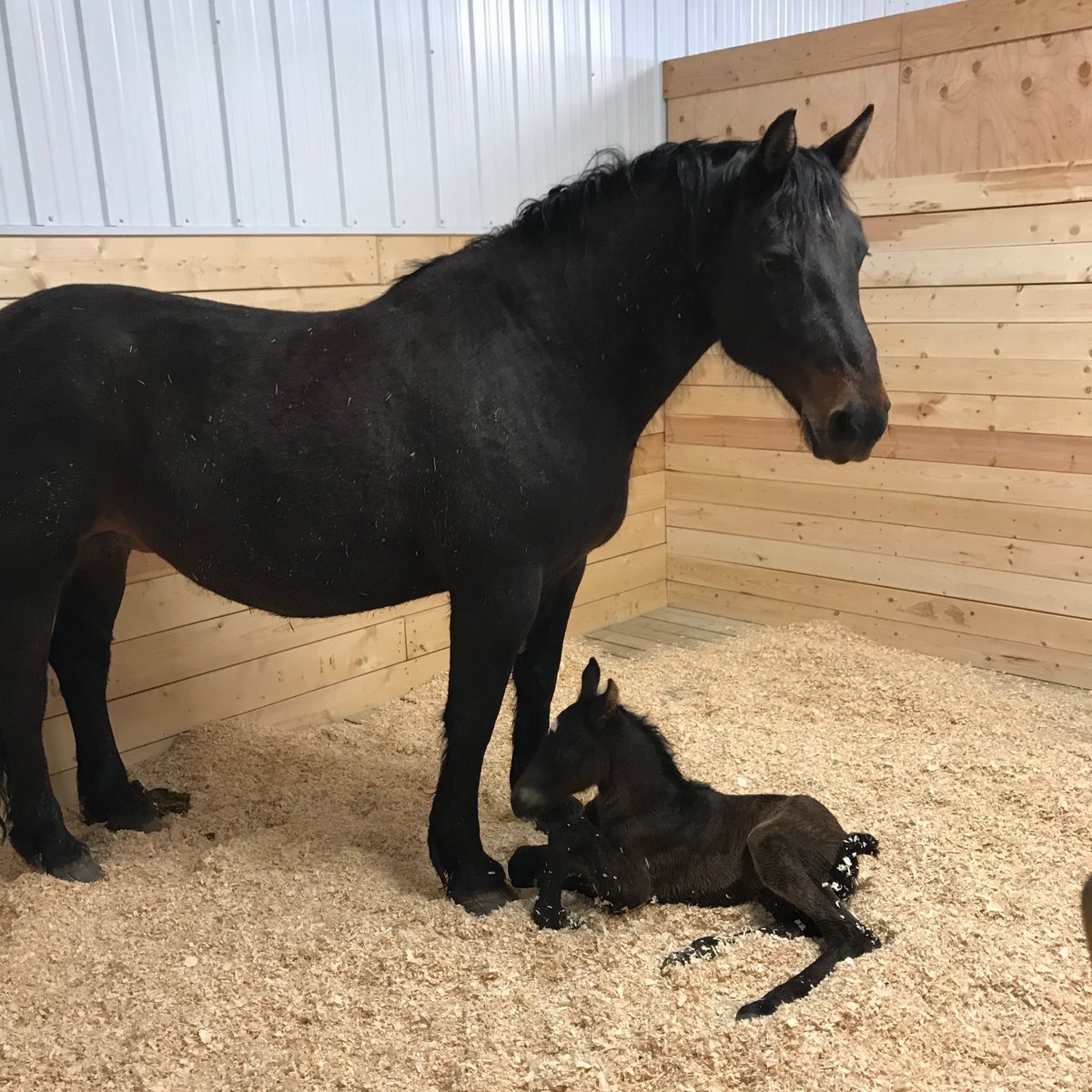 To all the moms who are busy keeping their little ones safe, happy and healthy, and those who lend a hand along the way – Happy Mother’s Day!