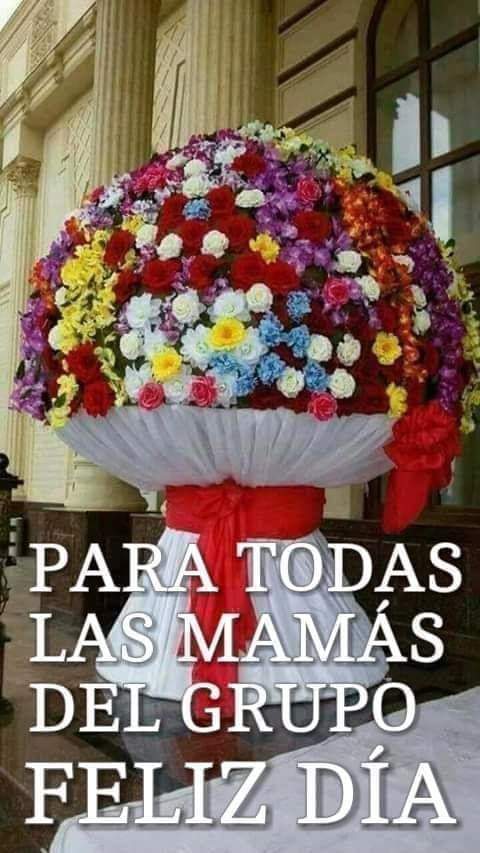 <a href="/CesaCampusC/">CESA Campus Cancún</a> <a href="/TecNM_Cancun/">@TecNM_Cancun</a> #FelizDíadeLaMadre  <a href="/cristinazuetar/">Cris</a> @melissajuarez__ <a href="/Mitzvela/">𝑴𝒊𝒕𝒛</a> <a href="/Kaarlachanpech2/">Kaarla chan pech</a> <a href="/Analy_Canto/">analy canto</a> @IzaaEscolastico <a href="/less_zzzz/">Less_</a> <a href="/marielingp/">Irasema González</a> <a href="/axool98/">Gabriela Xool</a> <a href="/Katy_Citalan/">Katya Citalan</a> @astridRiver0 <a href="/MarisolPat4/">Marisol Pat</a> <a href="/WenddyHernandez/">Wendi Daniela Hdz</a> <a href="/FatimaConcha2/">🐚 Fatima</a> <a href="/Griseldis/">Barbara Held</a>