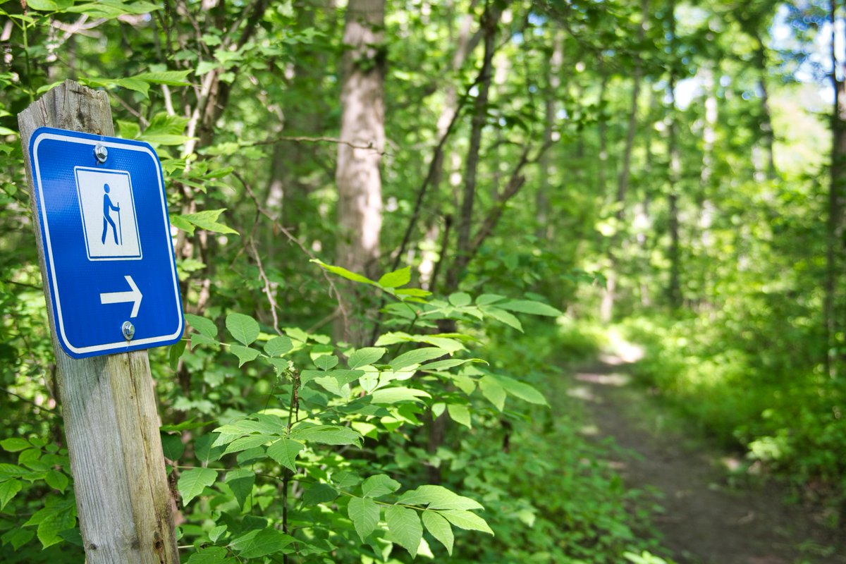 SixMileLakePP's tweet photo. Just a reminder: our park will be available starting Friday May 15 for limited recreational day-use activities.

Please visit this link for services that will be available: https://t.co/Eha80dyIoj https://t.co/gu7ohSUAZ9
