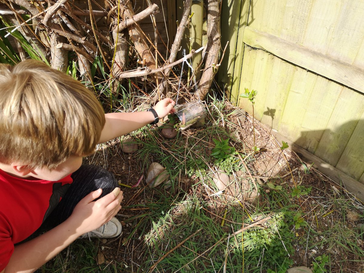 marie harris tweet media