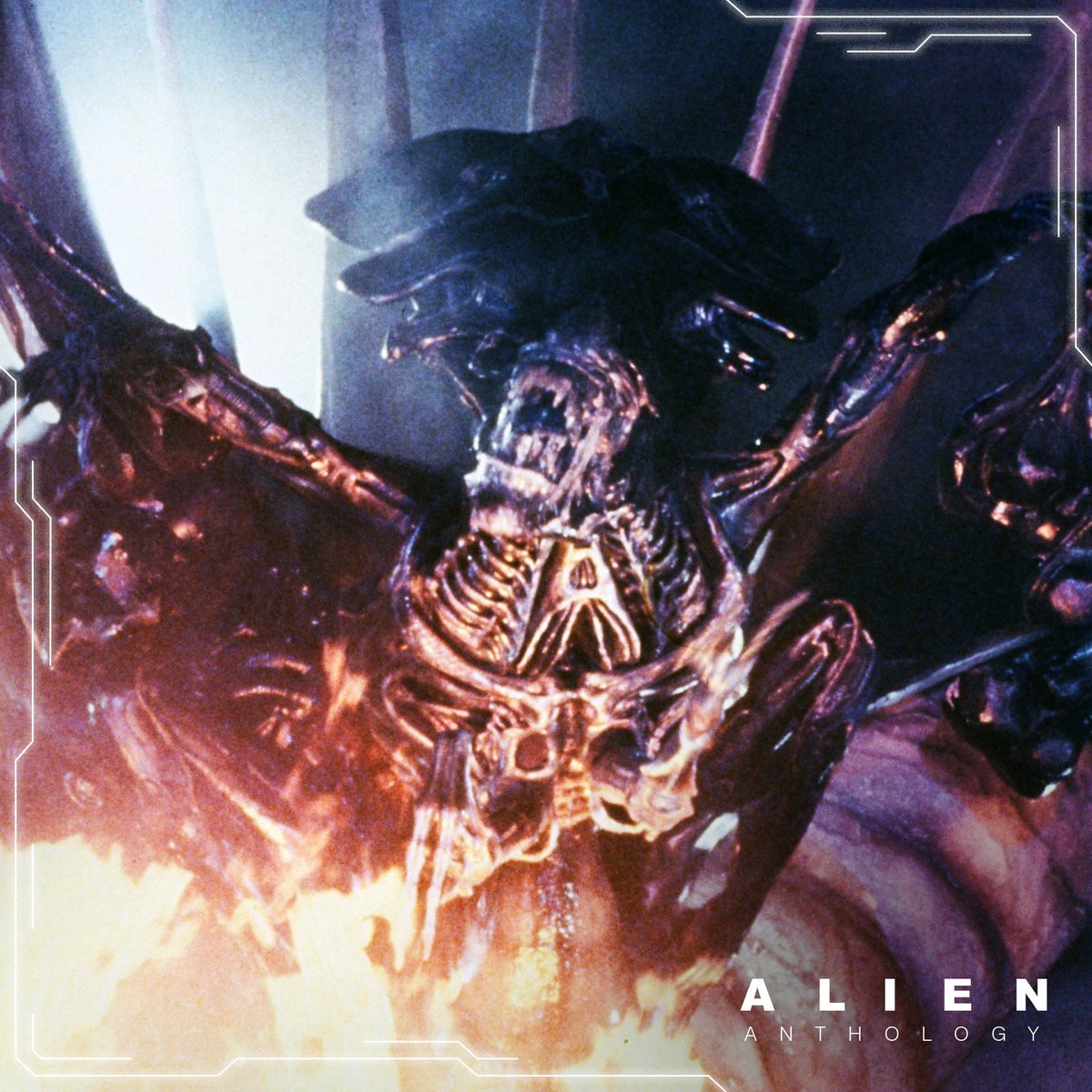 download alien vs predator requiem 2007 download alien vs predator requiem 2007