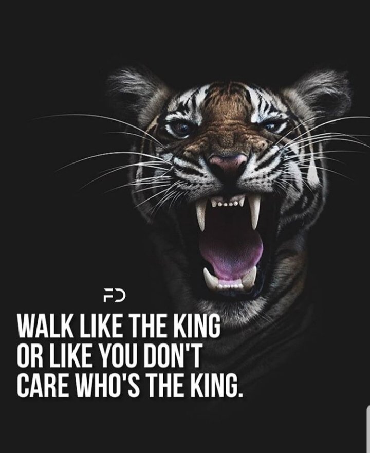 Walk like the King 👑