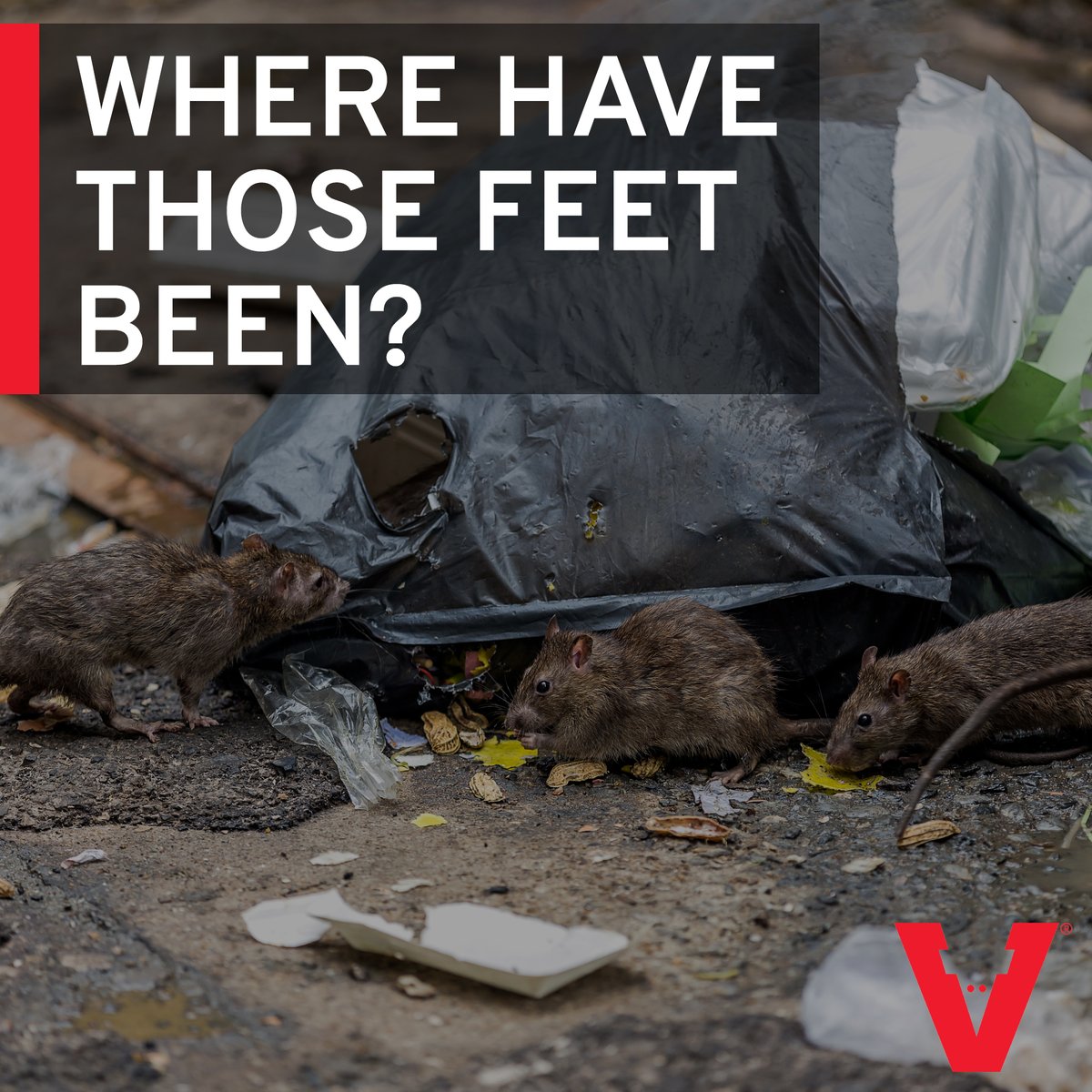 Victor® tweet media