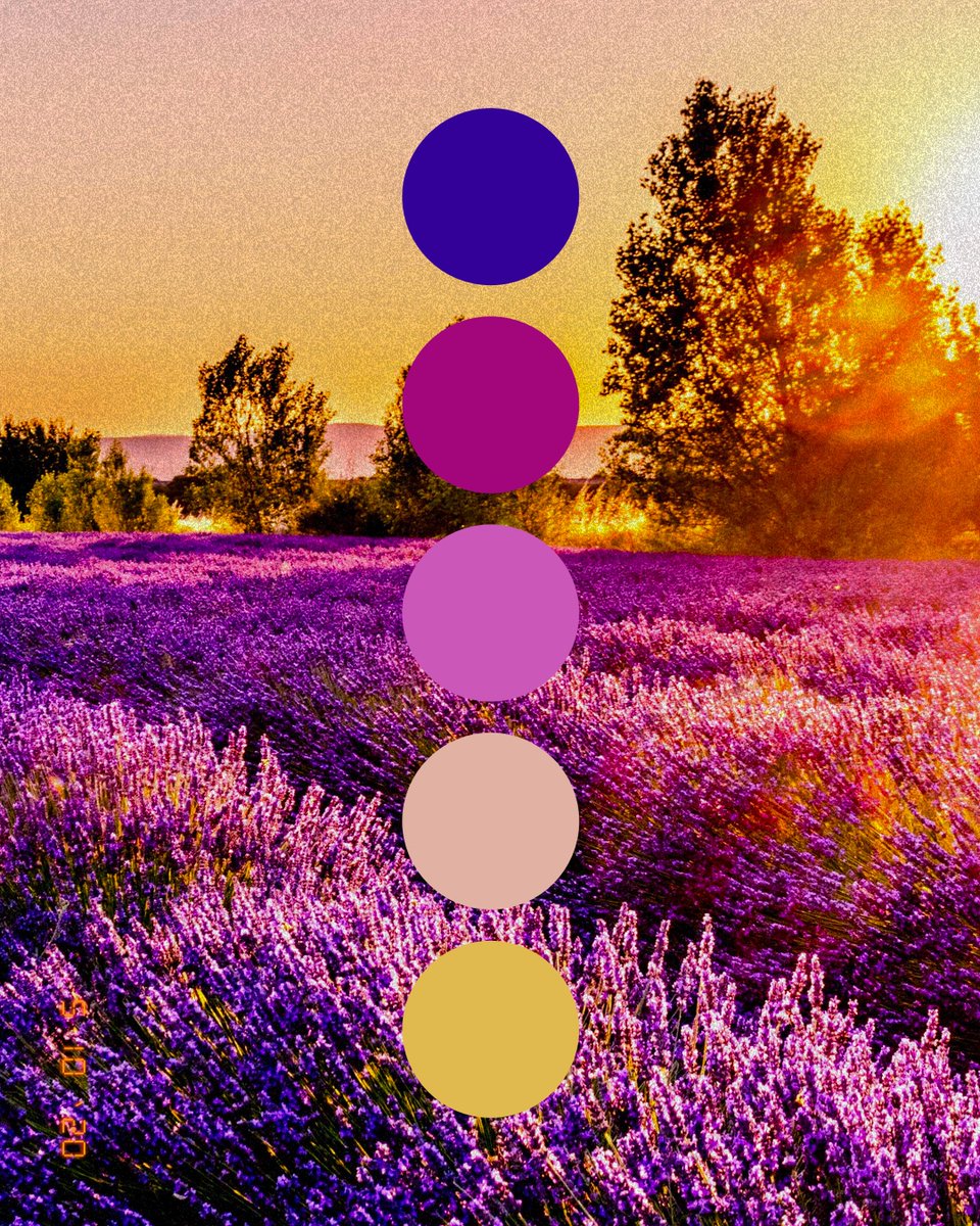 Element5Digital's tweet image. A bright and colorful color palette inspired by all the Mothers and Grandmothers out there! Happy Mother's Day 💜
