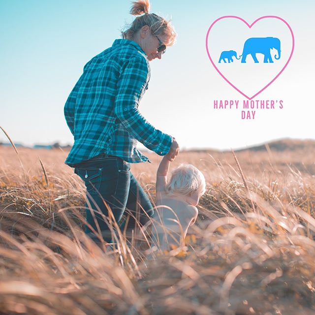 jerrysisk's tweet photo. “The art of mothering is to teach the art of living to children.” —Elaine Heffner Happy Mother’s Day! #mothersday #happymothersday #momsareawesome #momsaresuperheroes https://t.co/PAIwixXBNT https://t.co/loBuZbhcxb