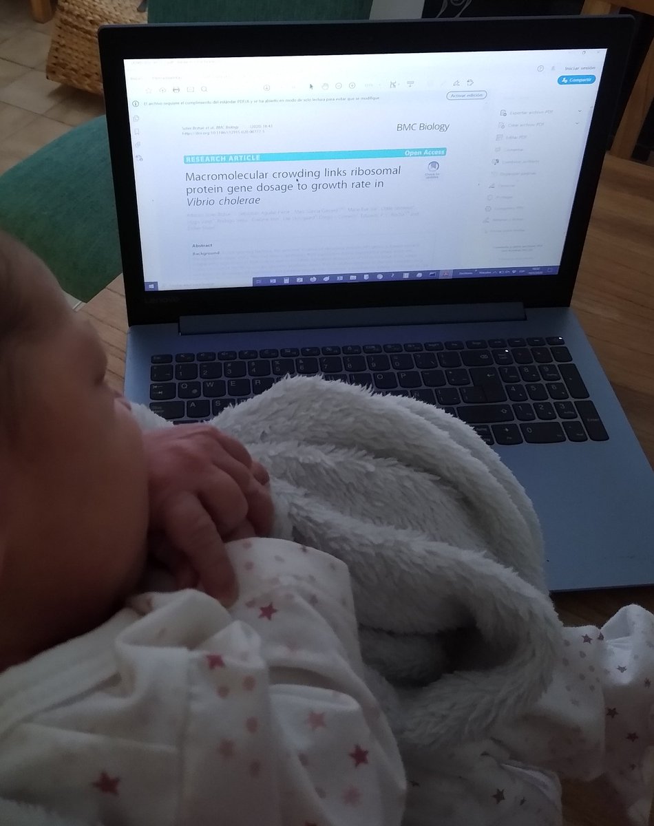 alfonsosoler79's tweet photo. These last 10 days were amazing:
- last and very nice paper finally published
- my newborn baby is now in my arms.
I cannot ask for more!
#Science #familyWorkBalance https://t.co/dvm831lPBK
