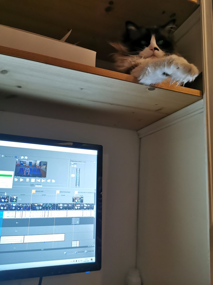 And now she just sits above me. Admiring her dirty work. Bitch.