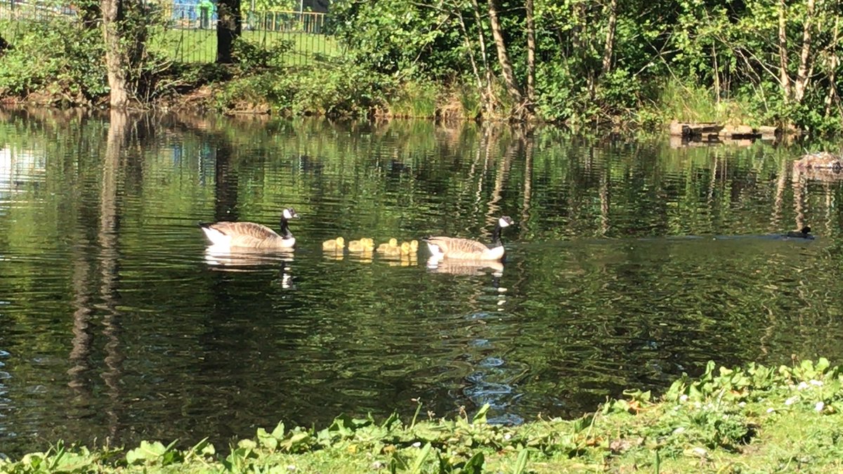 Parents protective nature 😊