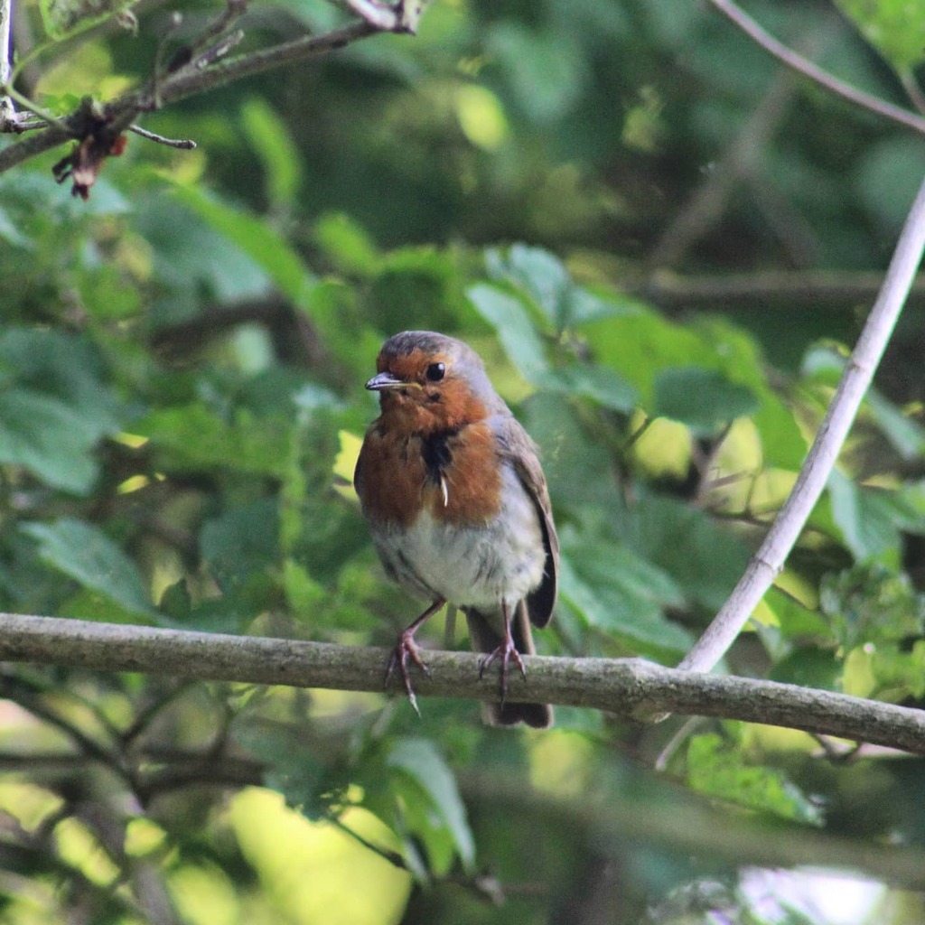 Taken yesterday when the weather was better!

#polehangerriverwoodland instagr.am/p/CABWO84nDpV/
