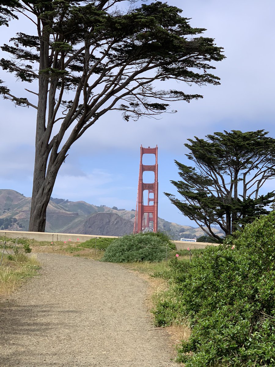 There was a TV show a few years ago that had some time-jumping storyline and in one of the first scenes the star woke up here and called it Golden Gate Park. It still bugs me.